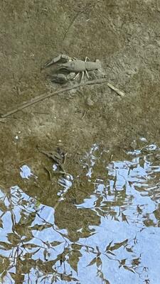 20250817 LH 25-08-17 08-55-44 7907